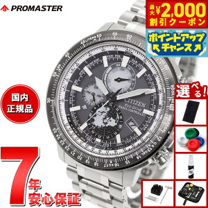 y2000~OFFN[|IX|Cgő55{I{IzyIׂmxeB[tzV`Y v}X^[ XJC CITIZEN PROMASTER SKY GRhCu dgv _CNgtCg WI g