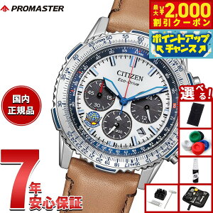 y2000~OFFN[|IX|Cgő55{I{IzyIׂmxeB[tzV`Y v}X^[ XJC CITIZEN PROMASTER SKY GRhCu Blue Impulse 胂f rv Y CA46