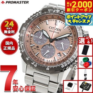 y2000~OFFN[|IX|Cgő55{I{IzyIׂmxeB[tzV`Y v}X^[ XJC CITIZEN PROMASTER SKY GRhCu dgv rv Y CA4664-60X T[