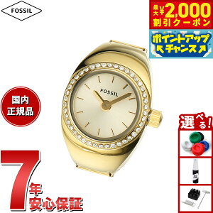 y2000~OFFN[|IX|Cgő55{I{IztHbV FOSSIL OEHb` v w fB[X EHb`O j [YS[hg[ XeXX`[ ES5319