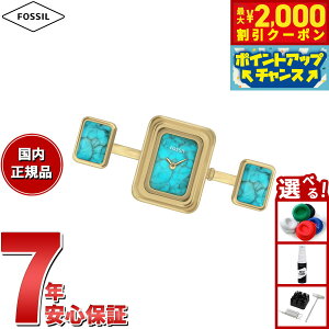 y2000~OFFN[|IX|Cgő55{I{IzyIׂmxeB[tztHbV FOSSIL OEHb` v w fB[X RAQUEL EHb`O j S[hg[ X