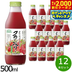 y2000~OFFN[|IX|Cgő55{I{IzI Nx[ 500ml×12{Zbg W[X Xg[g ʏ`50 Y  r { e ʓ yz