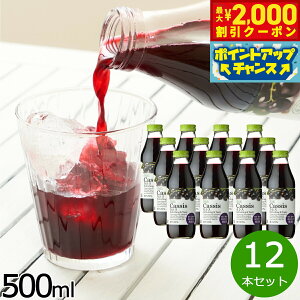 y2000~OFFN[|IX|Cgő55{I{IzI JVX20 500ml×12{Zbg JVX JVXW[X W[X ʕ ʎ t[c Xg[g AgVAj ʏ`20% Y 