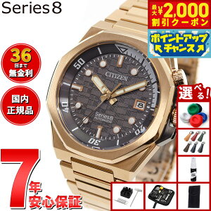 y2000~OFFN[|IX|Cgő55{I{IzyIׂmxeB[tzy36񕪊萔IzV`Y V[YGCg CITIZEN Series 8 JjJ 890  @B r