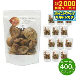 y2000~OFFN[|IX|Cgő55{I{Izi`Lb` natural kitchen I[KjbNhCC`WN 400g×12܁yz