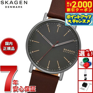 y2000~OFFN[|IX|Cgő55{I{IzXJ[Q SKAGEN rv Y SIGNATUR VOl`[ SKW6860 Oj `F[Ebh U[