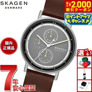 y2000~OFFN[|IX|Cgő55{I{IzyIׂmxeB[tzXJ[Q SKAGEN rv Y SIGNATUR }`t@NV uEU[EHb` SKW6941y2025 V