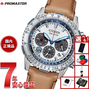 yX|Cgő43{I{IzyIׂmxeB[tzV`Y v}X^[ XJC CITIZEN PROMASTER SKY GRhCu Blue Impulse 胂f rv Y CA4661-09A u[Cp
