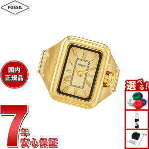 yX|Cgő43{I{IztHbV FOSSIL OEHb` v w fB[X RAQUEL j S[hg[ XeXX`[ EHb`O ES5343