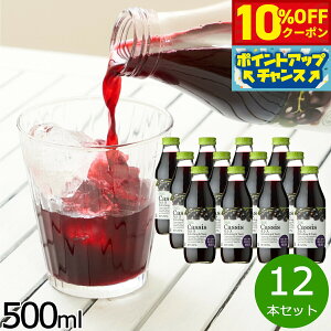 y10%OFFN[|IX|Cgő43{I{IzI JVX20 500ml×12{Zbg JVX JVXW[X W[X ʕ ʎ t[c Xg[g AgVAj ʏ`20% Y 