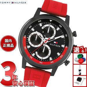 y2000~OFFN[|IX|Cgő56{IX[p[SALEIzg~[qtBK[ TOMMY HILFIGER rv Y ROCKY 1792178y2025 Vz