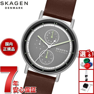 y2000~OFFN[|IX|Cgő56{IX[p[SALEIzyIׂmxeB[tzXJ[Q SKAGEN rv Y SIGNATUR }`t@NV uEU[EHb` SKW6941y2025 