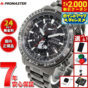 yő2000~OFFN[|IX|Cgő56{I{IzyIׂmxeB[tzV`Y v}X^[ XJC CITIZEN PROMASTER SKY GRhCu dgv _CNgtCg WI