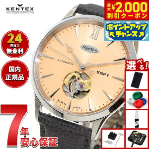 yő2000~OFFN[|IX|Cgő56{I{IzyIׂmxeB[tzPebNX KENTEX ESPY hXI[vn[g 99{ ESPY Dress Open Heart rv Y  