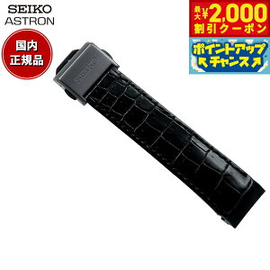 yő2000~OFFN[|IX|Cgő56{I{IzZCR[ AXg SEIKO ASTRON rv v ւoh xg Y ubN NR_C 21mm WTCY R7X13DC