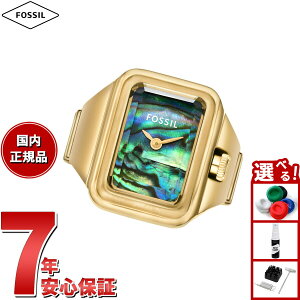 yX|Cgő43{I{IztHbV FOSSIL OEHb` v w fB[X RAQUEL j XeXX`[ EHb`O ES5411y2025 Vz