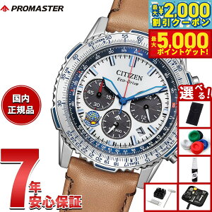 y1310Iő5000ptobNő2000~OFFN[|IzyIׂmxeB[tzV`Y v}X^[ XJC CITIZEN PROMASTER SKY GRhCu Blue Impulse 胂f rv Y CA466