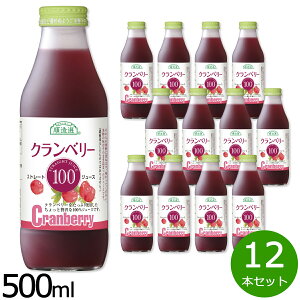 yX|Cgő42{I{IzI Nx[100 500ml×12{Zbg W[X Xg[g ʏ`100% Y   sgp r { ʓ yz