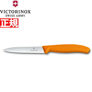 yX|Cgő43{I{IzrNgmbNX VICTORINOX yeBiCt p[OiCt gn IW 10cm XCXNVbN 6.7736.9-X1