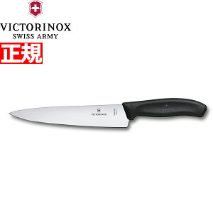 yX|Cgő39{I{IzrNgmbNX VICTORINOX VFtiCt J[rOiCt   ubN 19cm XCXNVbN 6.8003.19-X1