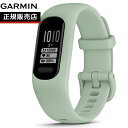 【8/5限定！抽選で100％ポイントバック！要エントリー】ガーミン GARMIN vivosmart 5 ヴィヴォスマート5 GPS スマートウォッチ ライフログ アクティビティトラッカー 腕時計 人気 おすすめ 記念品 誕生日 プレゼント ギフト