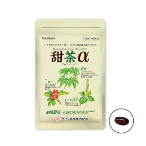 yX|Cgő39{I{Izn}̌NHi [ 120yz Y Tvg mJtFC V\̎ Rq