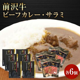 前沢牛 ビーフカレー 6個 スライスサラミ 6個 セット 簡単調理 レトルト ご当地 カレー お肉 岩手 前沢 オガタ 保存食 景品 ブランド牛 非常食 記念品 ギフト プチギフト 黒毛和牛 箱付き 高級 贅沢 ご褒美 国産 詰め合わせ 常温 送料無料