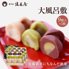 菓子処 後藤屋 大風呂敷 （ 9個 入 ）3箱 岩手 銘菓 ギフト プチギフト ご当地 贈り物 菓子 こしあん 抹茶あん 胡桃あん 餅 栗 伝統菓子 和菓子 スイーツ お菓子 帰省 お土産 手土産 お供え お供え物 お茶菓子 実家 挨拶 内祝い プレゼント ご贈答 送料無料