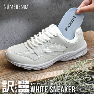 󂠂 Xj[J[  ^C LbY fB[X Y V[Y zCg C Ռz ʋC y qC w w ʊwC