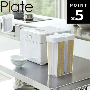 Plate 1 ①ɗpĂт v[g 3822yğC ۑe [  ꍇ RƁz