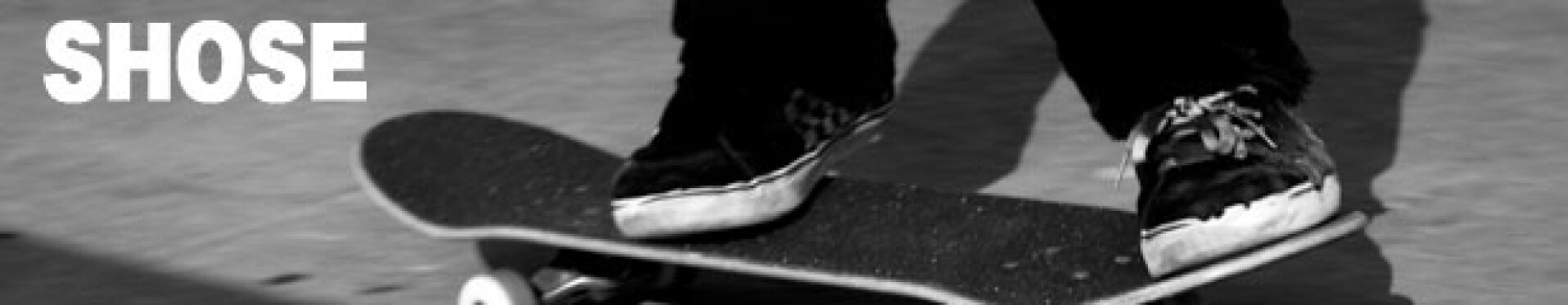 smp-banner-l_sh