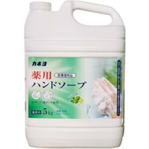 yP[X̔zJl pnh\[v 5kg 3