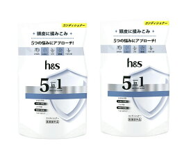 h&s 5in1コンディショナー詰替 290g×2袋