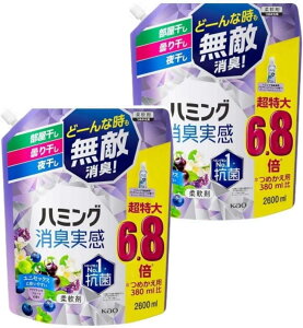 n~OL ANAeBbNt[c̍ lߑւp 2600ml×2