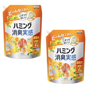 n~O LyIW&t[̍z_܋lւp 2,600ml×2