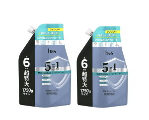 h&s 5in1 �V�����v�[�y�}�C���h���C�X�`���[�z�l�ւ��@������1750g×2��