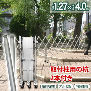 EXG1240 tZbg 48.6×1,500mm×2{ W4.0m×H1.27m ( tFXΉ) 擾  LX^[Q[g y،z Z ޒu LX^[Q[g XΒnΉ Lk yE