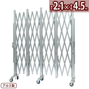 A}bNX A~LX^[NXQ[g AXG2045ipl 4.5m×2.1mjpltłplp^Cv TCNNXQ[g CXGA-2045  Lk A~LX^[Q[g 