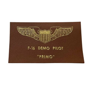 y  z ċRObY U[ l[^O AJR U.S.AIRFORCE pCbg ubNƃuE S[h 2i uWg 񂫂 SANKICHIv