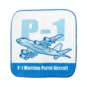 qObY C㎩q C P-1 ~j^I ~jnJ`yWg 񂫂 SANKICHIz