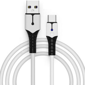 PS5 �R���g���[���[�p �[�d�P�[�u�� PS5�p�[�d�R�[�h Type C �P�[�u�� (2M )�f�[�^�ʐM&�}���[�d�R�[�h Switch/Xbox Series/PS5 DualSense �R���g���[���[