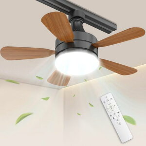 �y�_�N�g���[����p�zTENKOO&YOU �V�[�����O�t�@�����C�g ���^ 6��~8�� 28W 3000lm E26���� ���t��] �������F �����R���t��