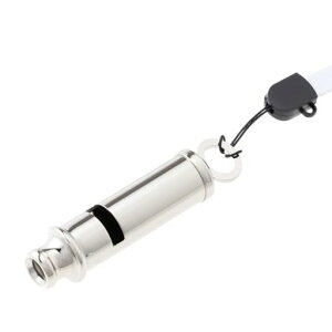 TOYO�z�C�b�X�����^������No.24