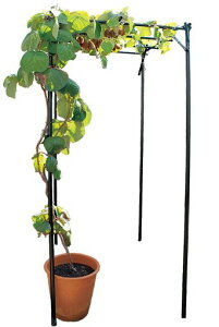 DAIM�p�[�S���ʕ��I�Z�b�g��90cm���s120cm����180cm���I�����I�K�[�f���K�[�f�j���O�I�A�[�`���|�L�E�C�I���|�I�Ԃǂ������˂Ԃǂ��I