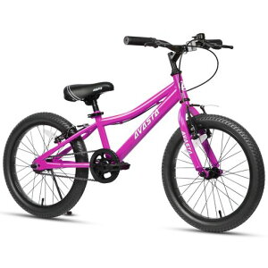 �yAVASTA�zBilbo�q��MTB�}�E���e���o�C�N�t�@�b�g�^�C�����]�Ԓj�̎q���̎q���w����w�N���w�N�X���ʊw���O���`�F�[���P�[�X/�L�b�N�X�^���h�t�����������\20�C���`�s���N