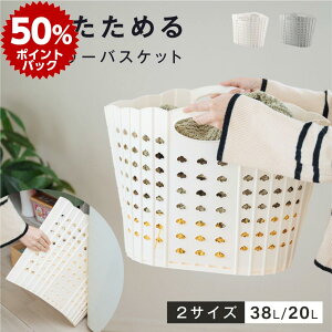 h[oXPbg ܂肽 RpNg  [bN 󂩂 h[[ 󕨓 oXPbg ȃXy[X e E߂ ʏ Vv V [pi y 