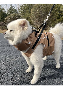  ĕ ⊴N[xXgƌ N[lbNlbNN[[  ۗ܂Ȃ ₷ЂObY ĔMǑ΍ ObY  p ⊴xXgL ΍􂨎U ⊴^IpxXg