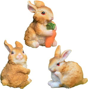 K[fjO  u CeA K[fI[ig  IuWF 3C Zbg ̒u ETM3C/AZbg