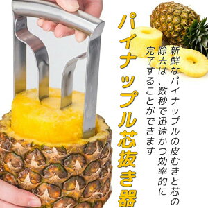 烊[o[ XeXX`[ t[cRA[[o[ pCibv pCibvc t[cc t[cc[ pCibvRA[[o[ pCibvJb