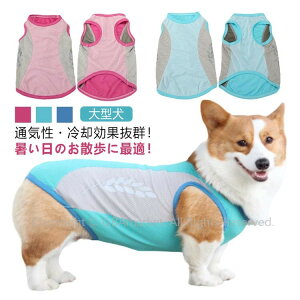 ^Ngbv ^ ĕ  CM p u Ђ ⊴ bV G炷  G炵 EFA N[  